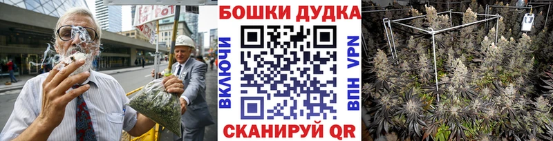 Купить наркотики сайты Волгореченск ГАШИШ  МАРИХУАНА  blacksprut онион  Псилоцибиновые грибы  Alpha-PVP  Меф  Амфетамин 
