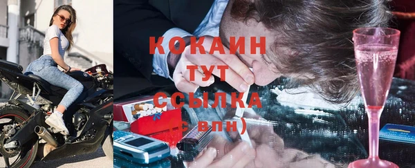 твердый Богородицк