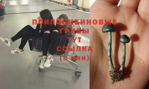 твердый Богородицк
