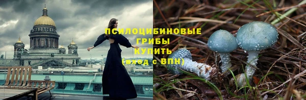 твердый Богородицк