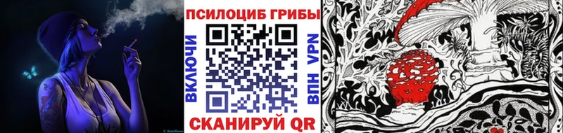 Псилоцибиновые грибы мицелий  блэк спрут сайт  Волгореченск 